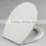 Soft Close D Shape Family Toilet Seat Urea Square Soft Duroplast Elongated Toilet Seat Cover thumbnail-3