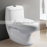 Best Seller in South Asia Market Washing Down One Piece Toilet With Unique Design thumbnail-4