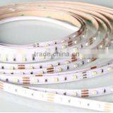 3year warranty 100lm/W CE RoHS certificate SMD3528 NON-waterproof indoor led flexible strip light 250 leds/m DC24V/36V