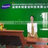 Shenzhen Raypole Technology Co., Ltd. company overview - view 2 thumbnail