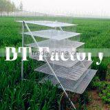 BT Factory New Design High Quality Quail Cages for Sale in Uganda Farm