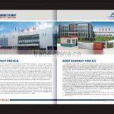 Tibet New Summit Motor Co., Ltd. company overview - view 3 thumbnail