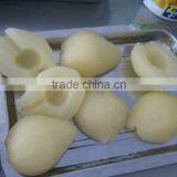 Delicious Supply Various Brands Snow Canned Pear Fruit Salad in Syrup thumbnail-1