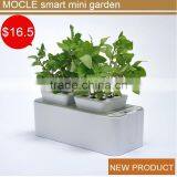 Tall Acrylic Flower Vase thumbnail-1