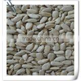 2014 Bakery Sunflower Seed Kernels thumbnail-1