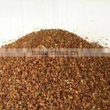 Evening Primrose Oil Bulk for Cooking Halal Cold Pressed Omega 3 thumbnail-3