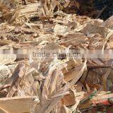 Wood Waste thumbnail-1
