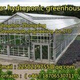 Zhongxing Greenhouse Engineering Co.,Ltd company overview - view 1 thumbnail
