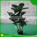 High Imitation Artificial Ficus Elastic Plant thumbnail-1