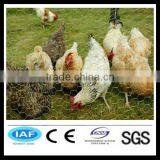 Competitive Chicken Coop Wire Netting thumbnail-1