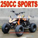 250cc Sports ATV thumbnail-1