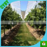 Chile market pe clear tarpaulin cherry tree cover tent