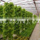 Solar Greenhouse thumbnail-2