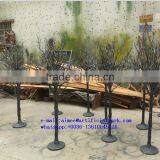 Q1101004 Artificial Dry Tree Without Leaves Wedding Decoration Dry Tree Branches thumbnail-5