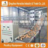 Best Selling Poultry Farming Layer Chicken Cage-H Type 4 or 5 Layers for Egg Chicken thumbnail-5