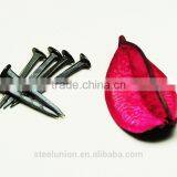 Shoe Tack Nails/blue Nail /shoe Nail/nails Blue Shoe thumbnail-6