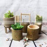 Nature Green Bamboo Vase For Lkebana And Flower Arrangement thumbnail-2