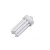 Compact Fluorescent Lamp