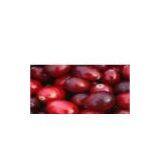 Cranberry P.E. thumbnail-1