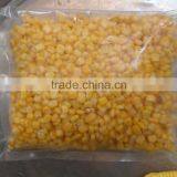 Vietnam Frozen Yellow Sweet Corn Seed With Good Price