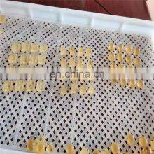 Professional Supplier Full Automatic Small Gummy Bear Candy Making Machine thumbnail-3