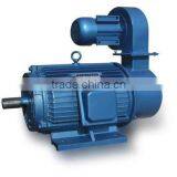 YLJ Series Three-phase Induction High Torque Motor thumbnail-1