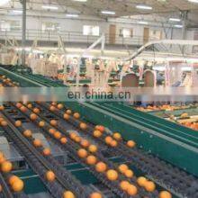 High Benefit Professional Apple Juicer Machine/Industrial Apple Juicer Garlic Juice and Ginger Juice Machine thumbnail-5