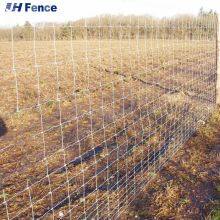 Farm Animal Goat Deer Fence Livestock Fence Cattle Horse Sheep Grassland Fence thumbnail-3