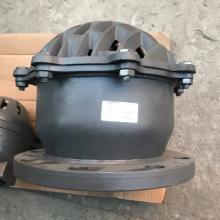 BS/DIN DN100 PN16 Cast Iron/Ductile Iron GG25 GGG50 Foot Valve Flange/Thread Foot Valve Factory thumbnail-5