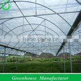 Good Price Greenhouses Growing Vegetable thumbnail-1
