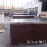 Russia Market Film Faced Plywood,Romania Market Film Faced Plywood thumbnail-3