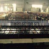 Human Battery/12v 20ah Batteries Electric Scooter/power Safe 12v Battery Price thumbnail-4