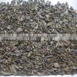china tea High quality best selling Gunpowder green Tea 9175