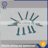 China Manufacturer Wholesale black drywall screw or screw nails