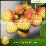 Chinese fruits and vegetables lychee fruit