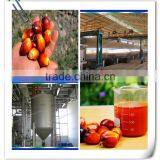 GRADE A CRUDE RED PALM OIL AND REFINED PALM OIL READY FOR SUPPLY thumbnail-1