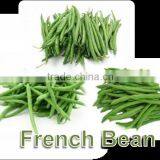 DRIED FRENCH BEANS