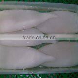 Illex Squid Tube thumbnail-3