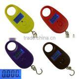 25kg x 5g Mini Digital Scale Hanging Luggage Fishing Weighing Portable Hook Scales