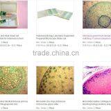 Indonesia Biological Glass Prepared Microscope Slides