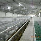Flat Deck Automatic Rabbit Equipment