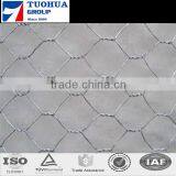 25M x 0.6M PVC Coated Green Mesh Galvanised Rabbit Chicken Wire Fence Fencing 25mm thumbnail-3