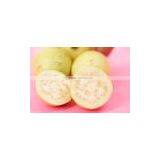 Guava thumbnail-1