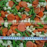 Frozen Mix Vegetable thumbnail-1
