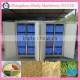 Soybean Fresh Bean Sprout