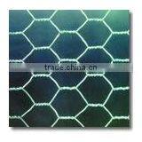 Hexagonal Iron Wire Netting