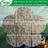 Calcium Ammonium Nitrate CAN 15.5% Nitrogen 19%Ca