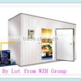 Container Cold Room Price for fish chicken meat