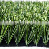 Olive Grass thumbnail-1