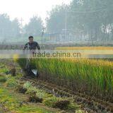 New Small Grain Binder for Sale thumbnail-6